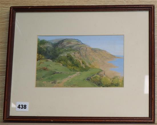 Edward Gurden Dalziel (1817-1905), watercolour, Cliffs at Hastings, signed and dated 1865, 13 x 22cm